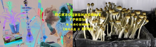 гидропоника Алзамай