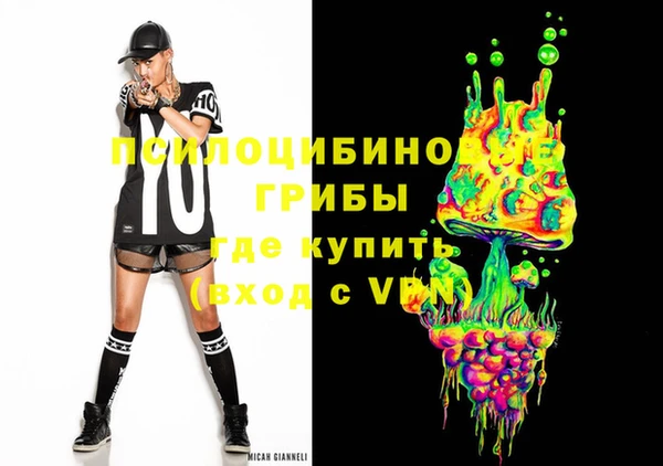 бошки Алексин